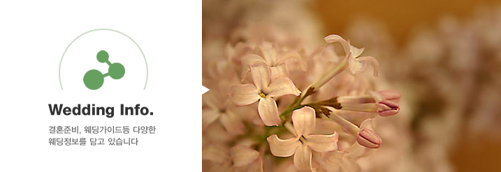 Wedding Information
