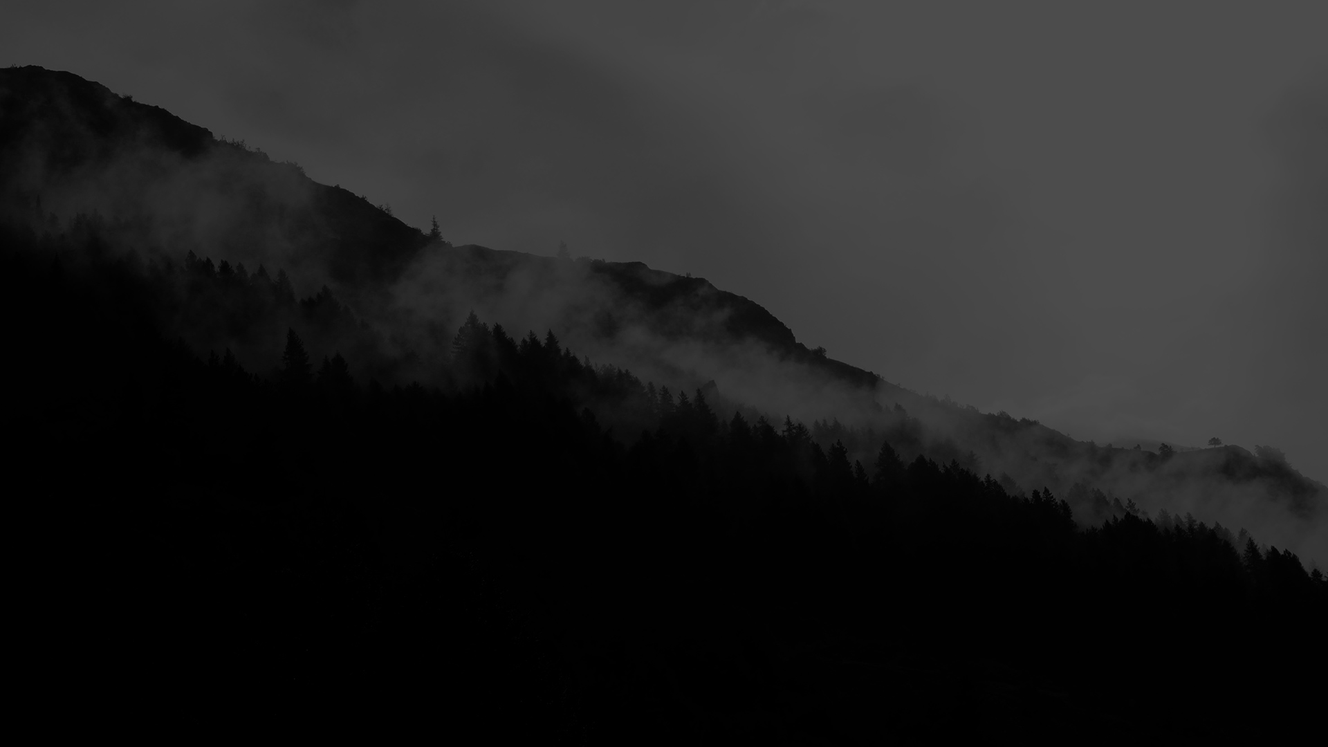 Slide4 Image