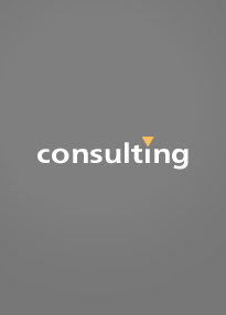 consulting