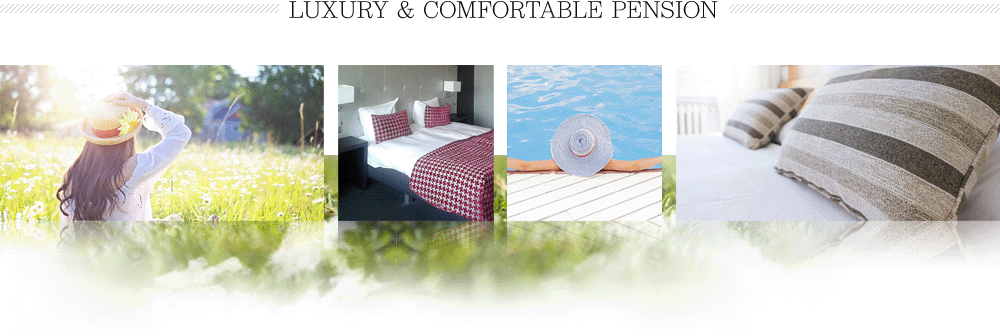 LUXURY & COMFORTABLE PENSION